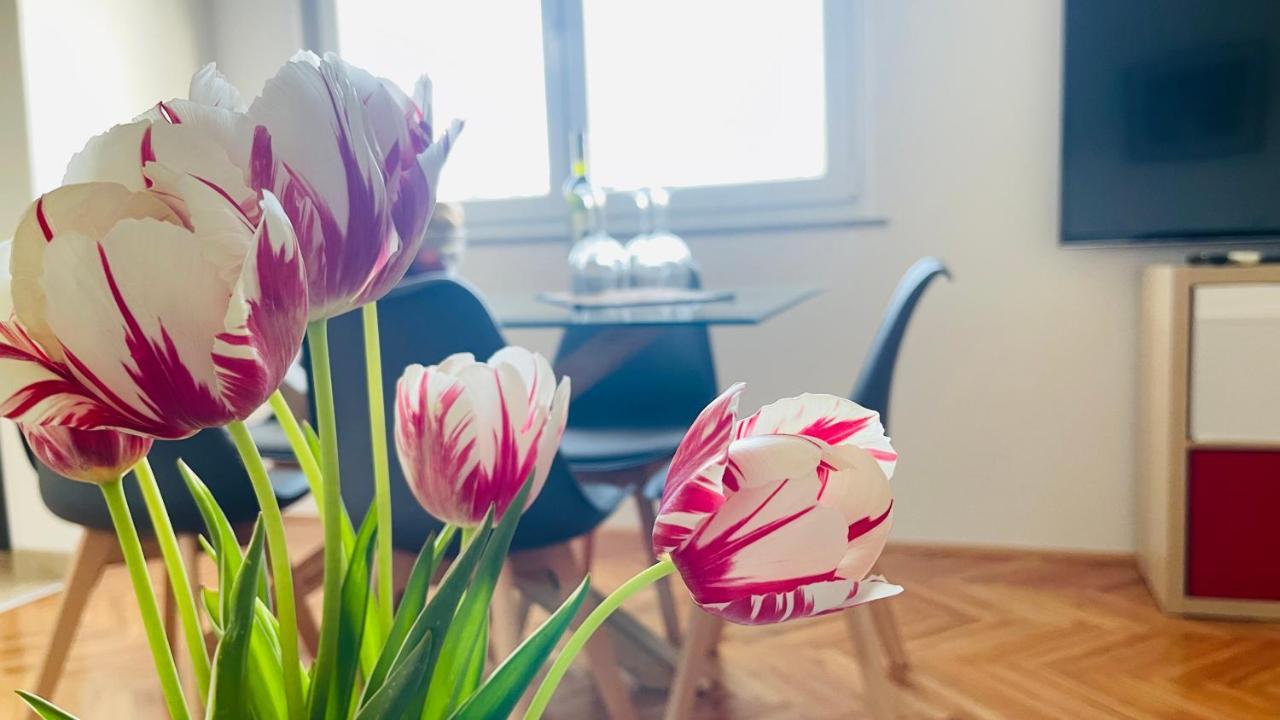 Apartment Iva Fiume Esterno foto